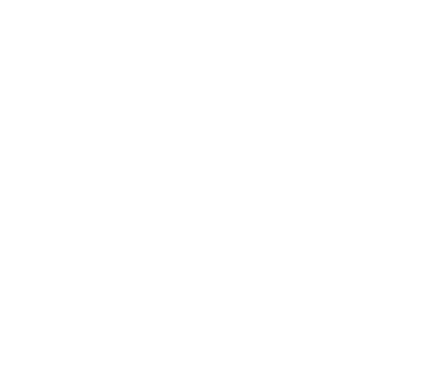 Avaya Aesthetics | About